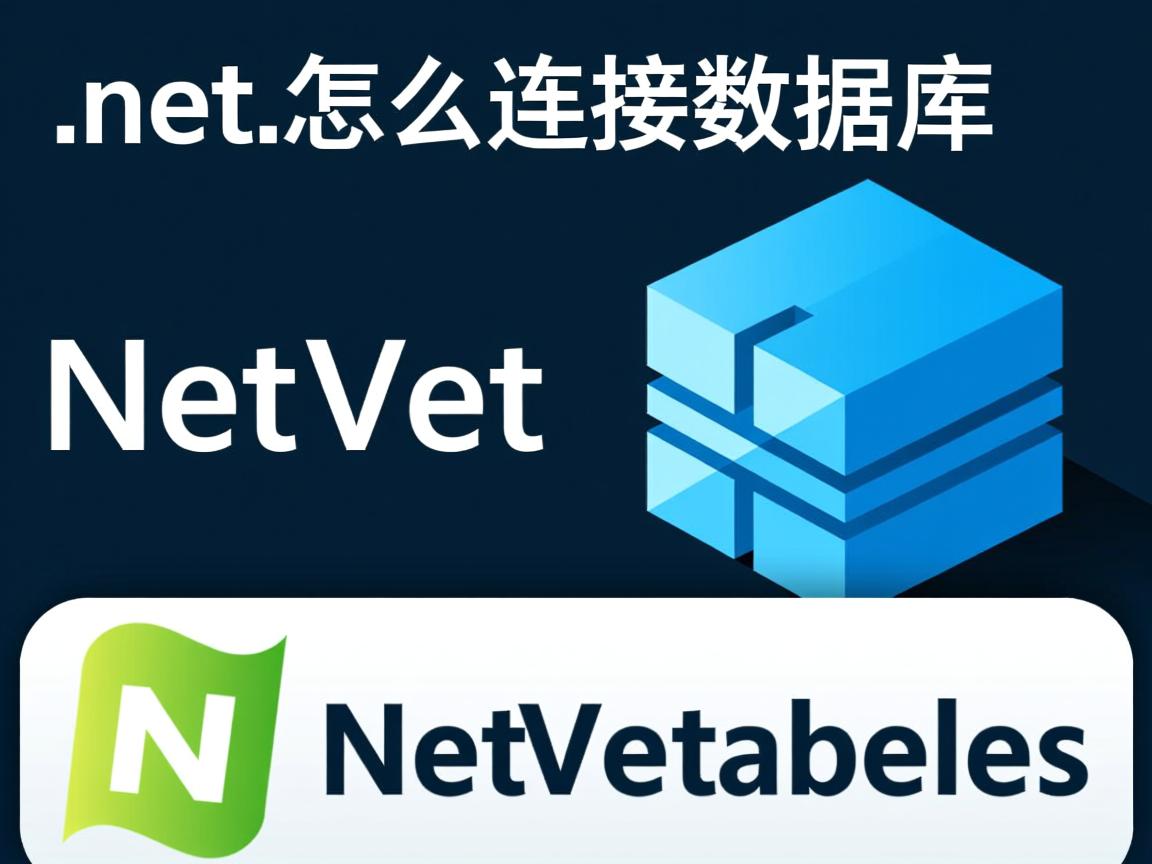 .net.怎么连接数据库