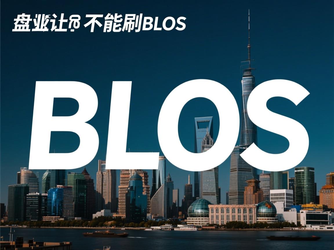 新 盘为什么不能刷Bl0S  第1张
