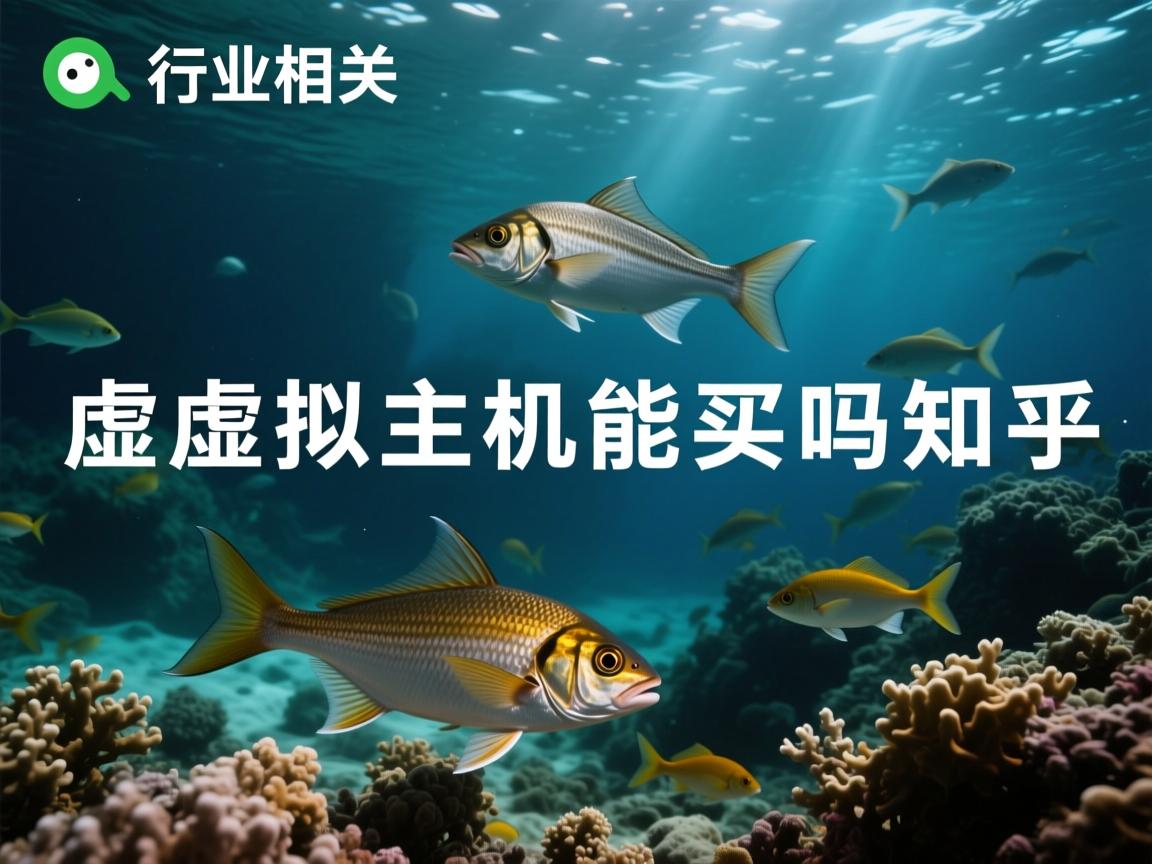闲鱼虚拟主机能买吗知乎  第3张