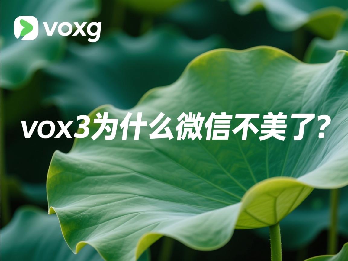 vivox23为什么微信不美了  第3张 vivox23为什么微信不美了  第3张