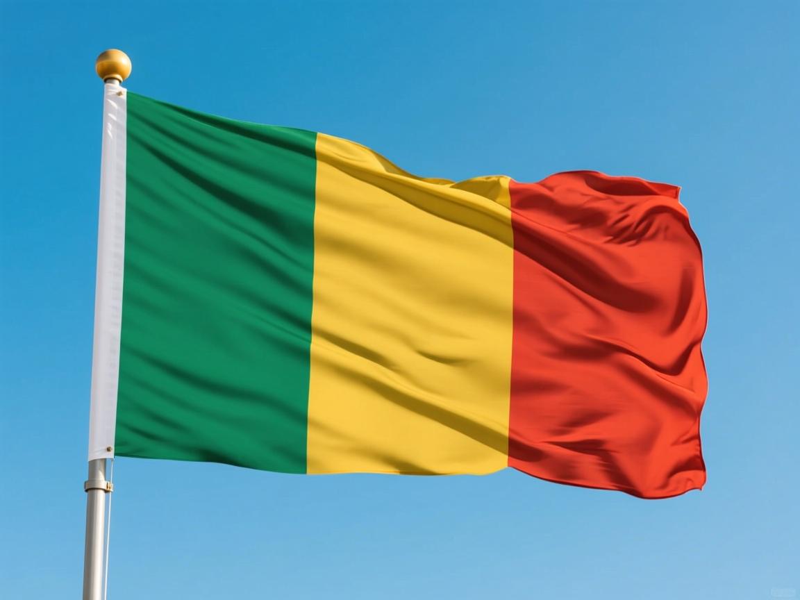 java 中的flag怎么用