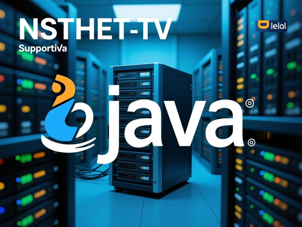 为什么虚拟主机不支持java