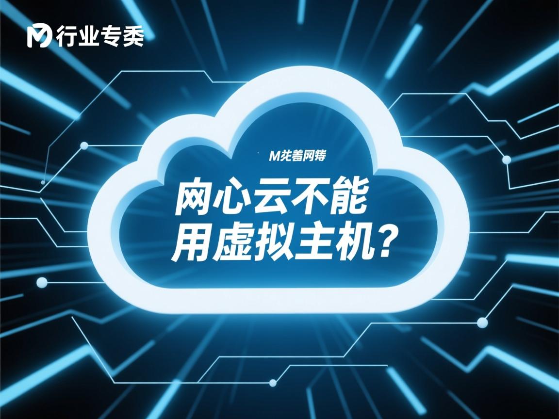 网心云不能用虚拟主机吗 第2张 网心云不能用虚拟主机吗 第2张