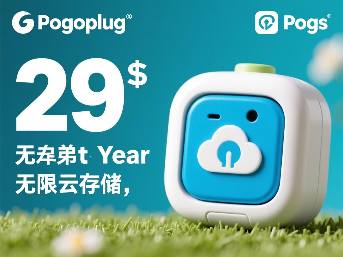 Pogoplug促销：29美元/年无限云存储  第1张