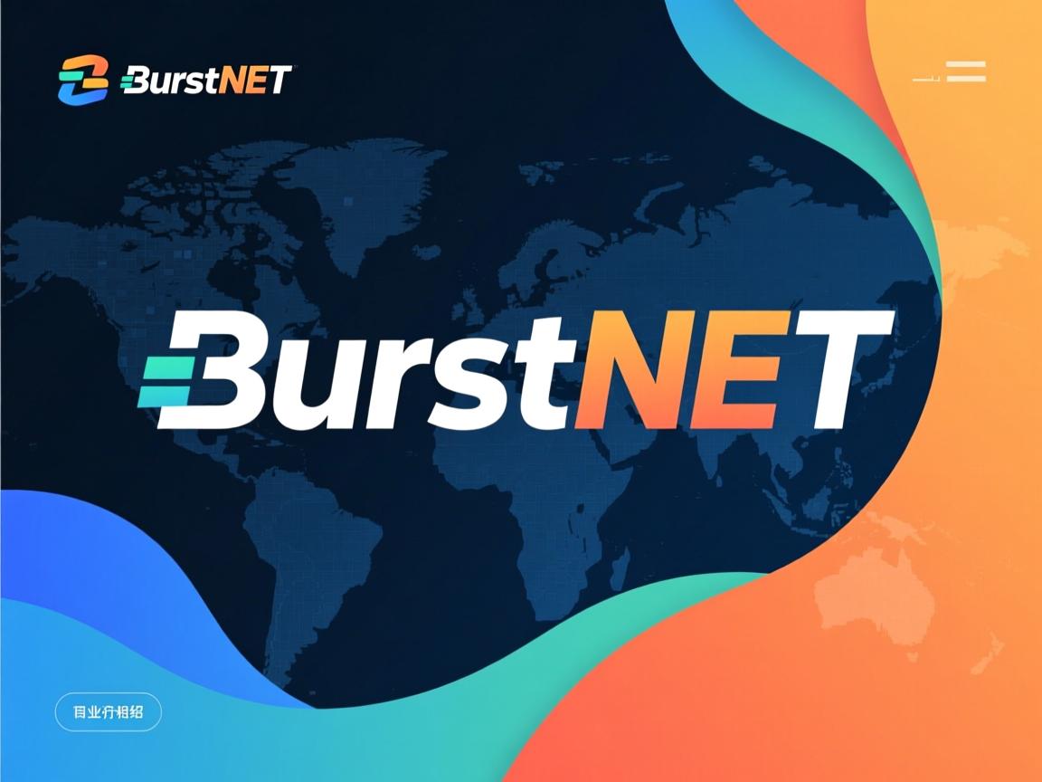 BurstNET介绍 第2张 BurstNET介绍 第2张