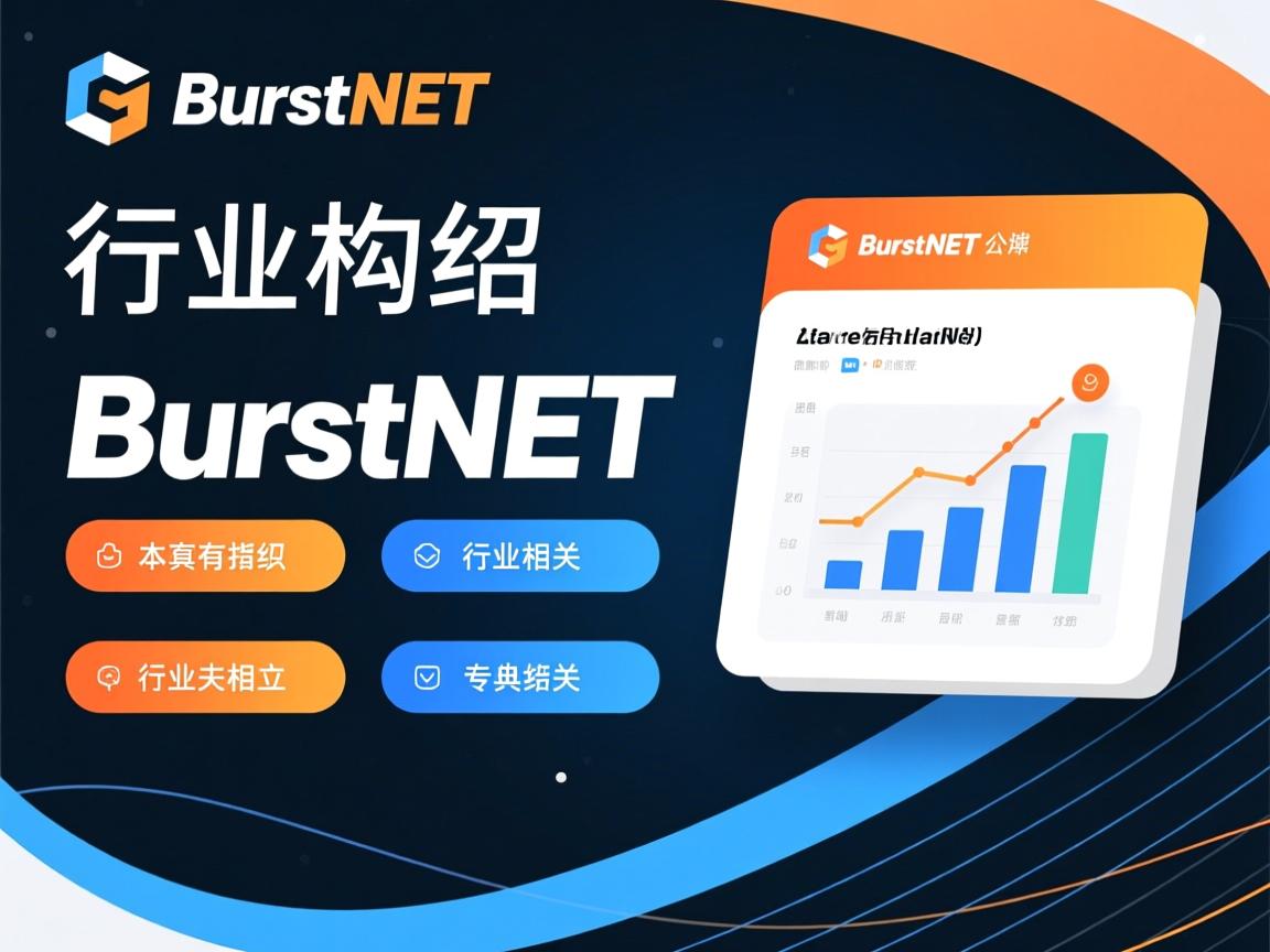 BurstNET介绍 第1张 BurstNET介绍 第1张