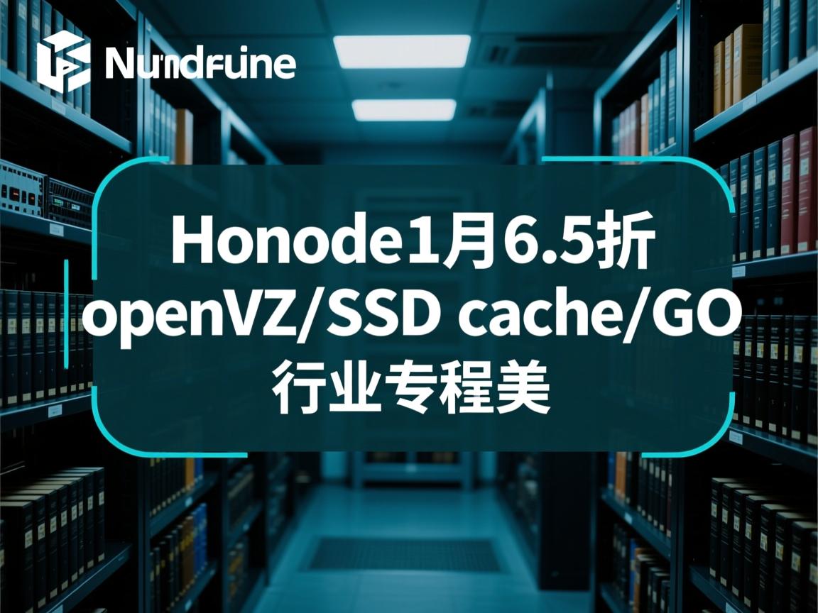 ramnode3月6.5折openvz/ssd cache/G口