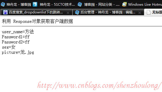 asp.net如何准确获取客户端真实主机名?有哪些常见问题及解决方案? 第2张 asp.net如何准确获取客户端真实主机名?有哪些常见问题及解决方案? 第2张