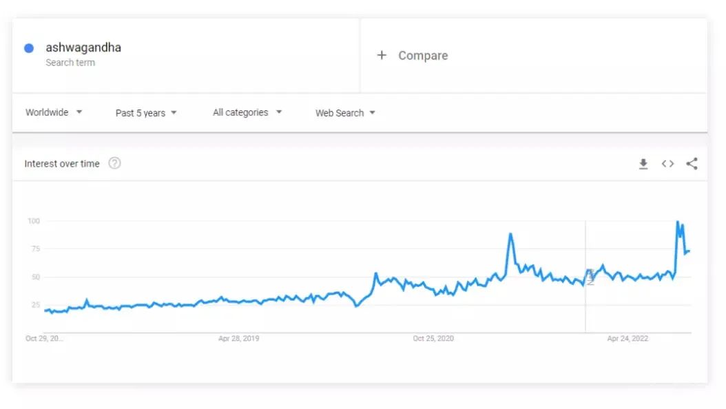 测评zenlayer卡塔尔云服务器详细:20G带宽/解锁tiktok/chatgpt等 第1张 测评zenlayer卡塔尔云服务器详细:20G带宽/解锁tiktok/chatgpt等 第1张