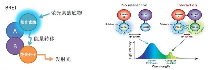 光化学图像转移技术是什么,光化学图像转移技术 第1张 光化学图像转移技术是什么,光化学图像转移技术 第1张