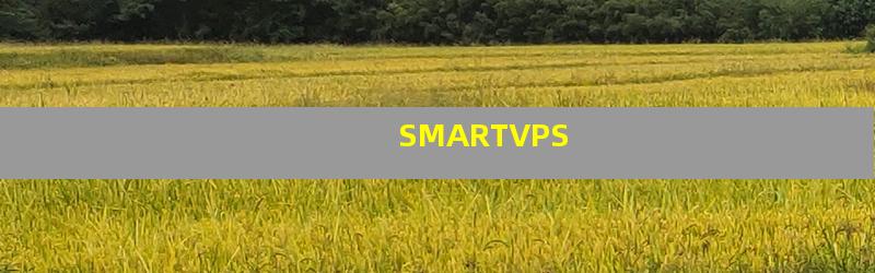 smartvps(香港)简单测评 第3张 smartvps(香港)简单测评 第3张