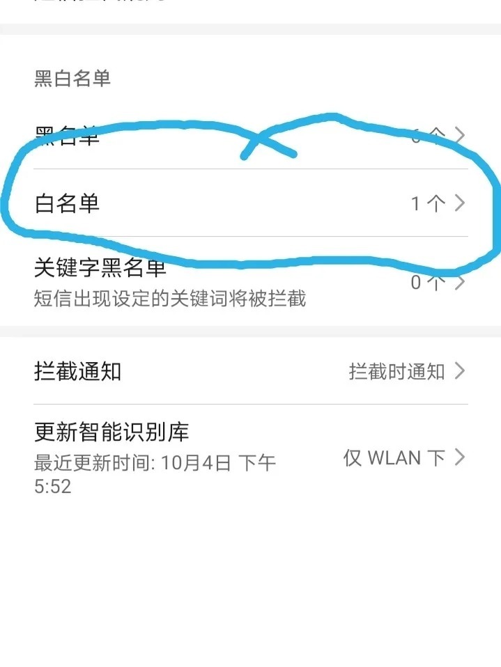 手机设置域名白名单,如何正确操作以保障安全与便捷? 第2张 手机设置域名白名单,如何正确操作以保障安全与便捷? 第2张