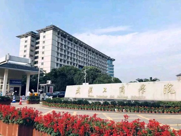 武汉工商学院域名是哪几个字?揭秘该校官方网站地址之谜! 第1张 武汉工商学院域名是哪几个字?揭秘该校官方网站地址之谜! 第1张