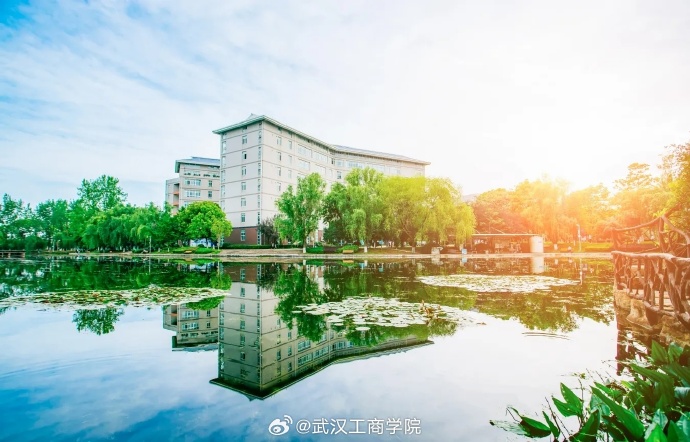 武汉工商学院域名是哪几个字?揭秘该校官方网站地址之谜! 第2张 武汉工商学院域名是哪几个字?揭秘该校官方网站地址之谜! 第2张