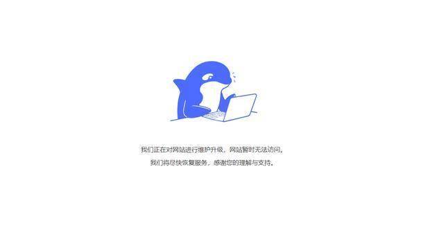 域名正在升级中导致网站无法访问怎么办? 第2张 域名正在升级中导致网站无法访问怎么办? 第2张