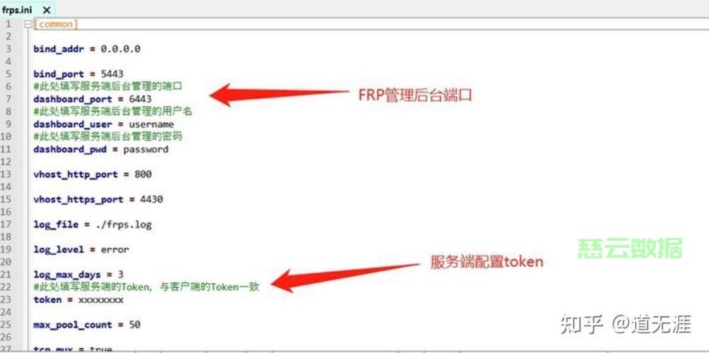 FRP没有域名时如何连接?配置与解决步骤详解 第1张 FRP没有域名时如何连接?配置与解决步骤详解 第1张