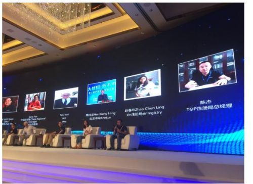 top域名拍卖中,如何挖掘潜在的商业价值? 第1张 top域名拍卖中,如何挖掘潜在的商业价值? 第1张