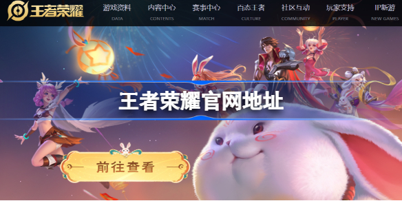 王者荣耀服务器域名是什么?王者荣耀服务器域名查询方法 第1张 王者荣耀服务器域名是什么?王者荣耀服务器域名查询方法 第1张