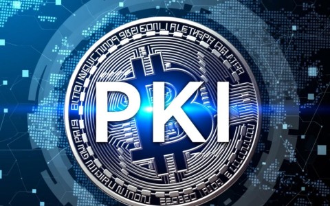 如何选择合适的pki网站?了解这些要点再决定你的选择 第1张 如何选择合适的pki网站?了解这些要点再决定你的选择 第1张
