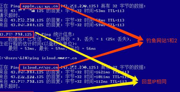 ping出来的ip地址和服务器ip一样吗?两者有什么区别? 第2张 ping出来的ip地址和服务器ip一样吗?两者有什么区别? 第2张