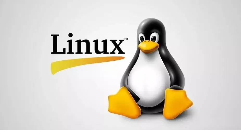 Linux全名是什么?Linux操作系统全称 第2张 Linux全名是什么?Linux操作系统全称 第2张