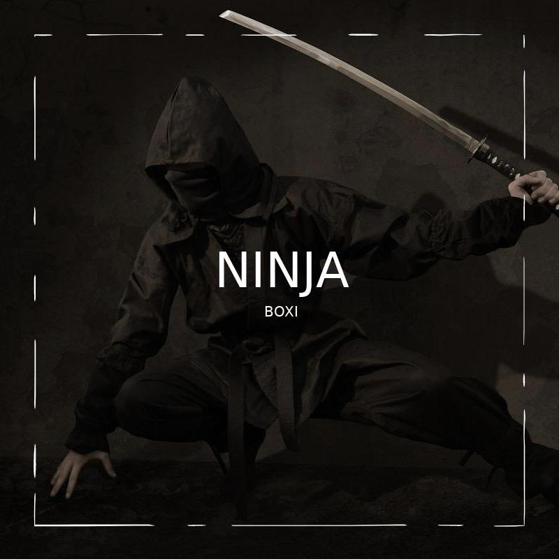 ninjahawk-凤凰城KVM5折 第2张 ninjahawk-凤凰城KVM5折 第2张