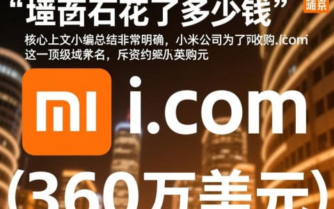 小米的域名花了多少钱,小米com域名收购价格是多少 第1张 小米的域名花了多少钱,小米com域名收购价格是多少 第1张