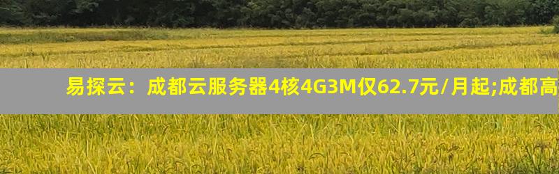 成都高防云服务器怎么样 第2张