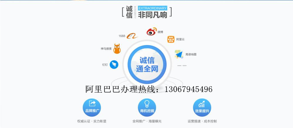 阿里巴巴诚信通域名有何独特优势,如何选择最合适的呢? 第1张 阿里巴巴诚信通域名有何独特优势,如何选择最合适的呢? 第1张