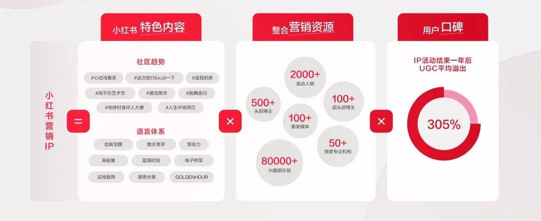 2026年TK账号矩阵搭建,究竟需要多少个IP才能实现高效运营? 第2张 2026年TK账号矩阵搭建,究竟需要多少个IP才能实现高效运营? 第2张