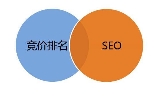 免费域名和域名有什么区别?,免费域名与付费域名有哪些核心差异? 第1张 免费域名和域名有什么区别?,免费域名与付费域名有哪些核心差异? 第1张