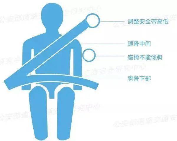 安全带的数据,安全带真的能降低死亡率吗? 第1张 安全带的数据,安全带真的能降低死亡率吗? 第1张