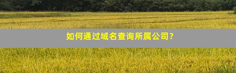 公司网站域名查询怎么做，域名查询