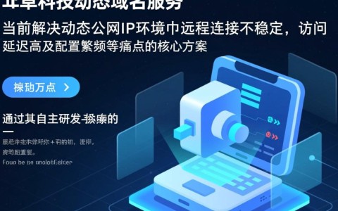 驰卓科技动态域名解析怎么样，动态域名解析怎么设置？ 第1张