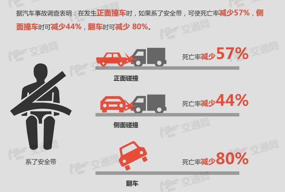 安全带图表数据揭示哪些隐藏的安全隐患? 第3张 安全带图表数据揭示哪些隐藏的安全隐患? 第3张