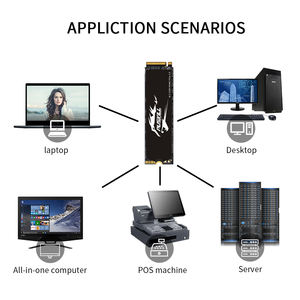 anynode-3.75$/KVM/可Win/256m内存/30g硬盘/500g流量