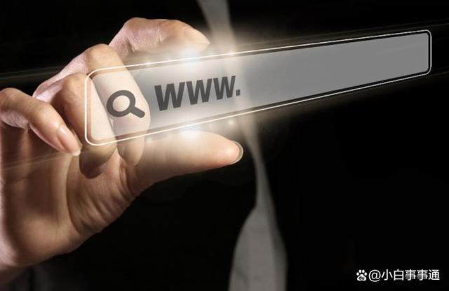 域名隐私保护真的能完全保护个人隐私,防止信息泄露吗? 第1张 域名隐私保护真的能完全保护个人隐私,防止信息泄露吗? 第1张