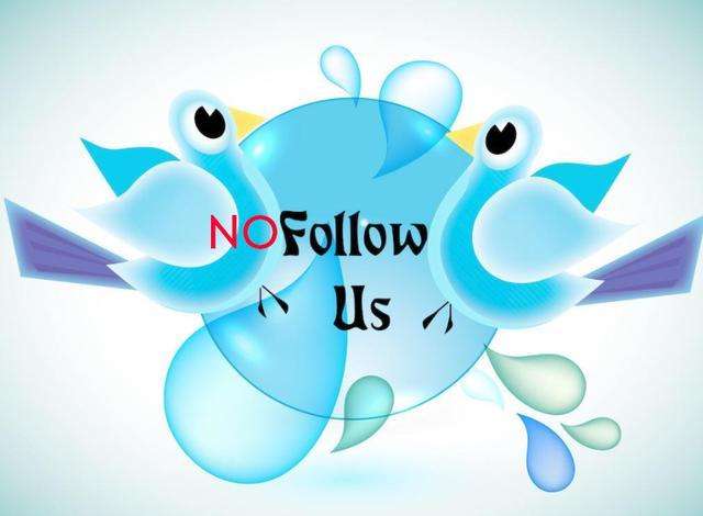 解释下友情链接Nofollow 第1张 解释下友情链接Nofollow 第1张