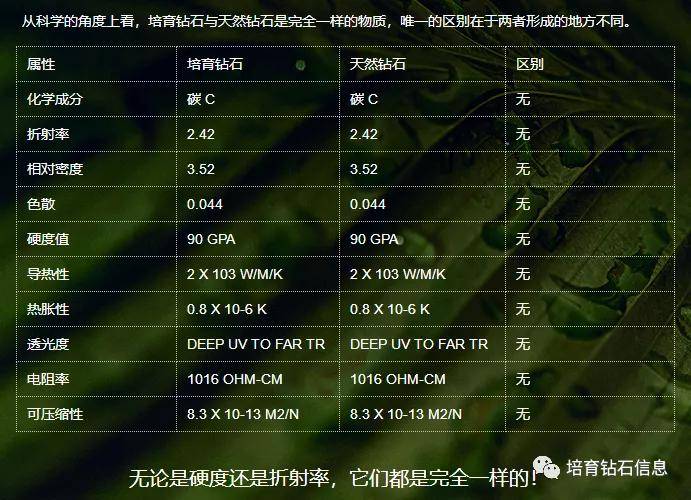 钻石配置究竟有何独特之处?揭秘钻石级硬件配置的奥秘 第2张 钻石配置究竟有何独特之处?揭秘钻石级硬件配置的奥秘 第2张