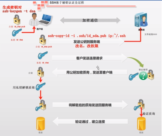 SSH锐捷配置中,有哪些关键步骤和常见问题需要注意? 第1张 SSH锐捷配置中,有哪些关键步骤和常见问题需要注意? 第1张