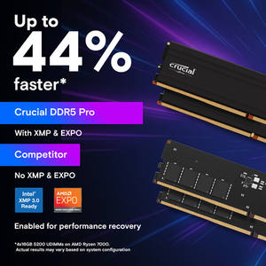 HolderHost-$15/年/256m内存/20g硬盘/300g流量/G口/凤凰城