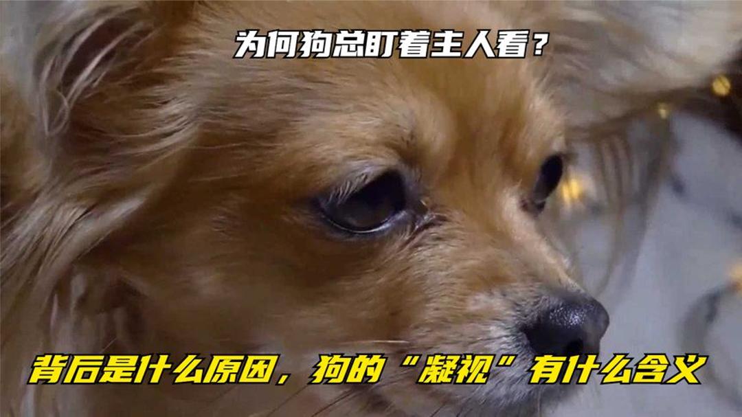 se94se新域名背后含义及变更原因揭秘,是何原因引发关注? 第1张 se94se新域名背后含义及变更原因揭秘,是何原因引发关注? 第1张