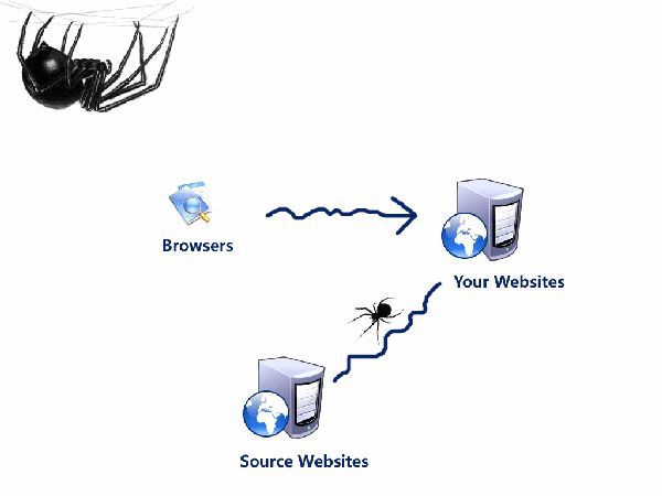 php网站蜘蛛爬行统计系统怎么用,php蜘蛛统计系统哪个好 第2张 php网站蜘蛛爬行统计系统怎么用,php蜘蛛统计系统哪个好 第2张
