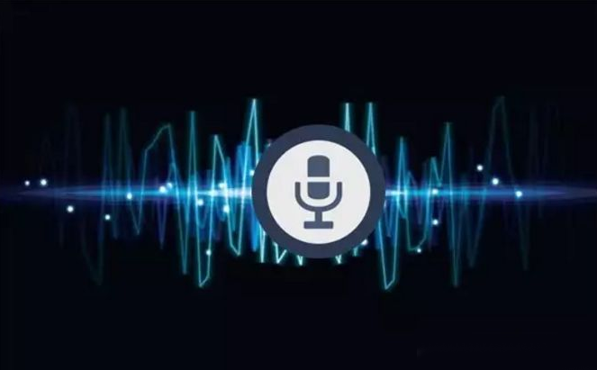 个性化语音识别技术是什么,个性化语音识别技术 第1张 个性化语音识别技术是什么,个性化语音识别技术 第1张