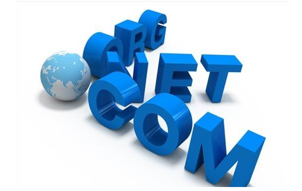 国外域名拍卖网站有哪些，国外域名拍卖平台推荐 第3张
