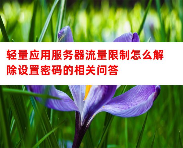 服务器还有流量限制吗?服务器流量限制怎么解除 第3张 服务器还有流量限制吗?服务器流量限制怎么解除 第3张