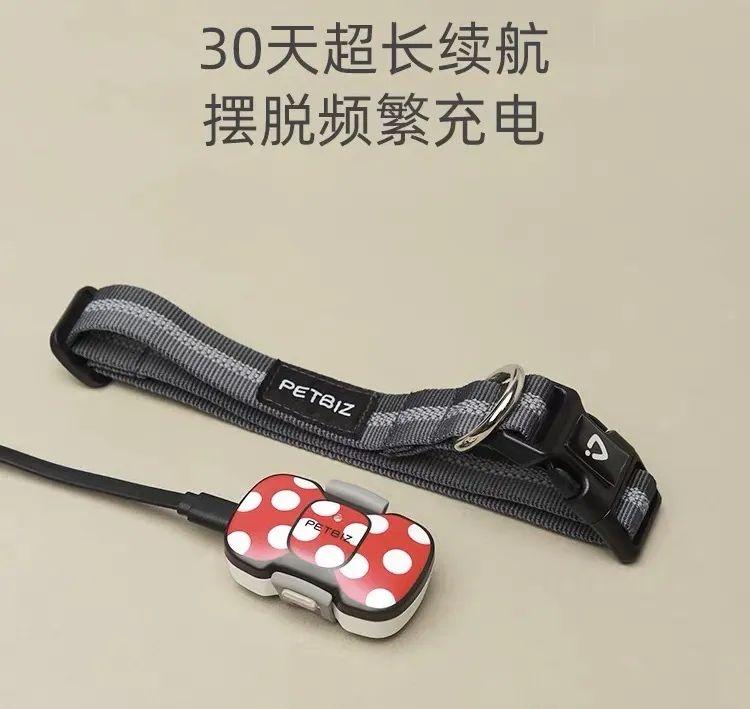 美国360cdn专用cn2高防节点哪里购买比较好? 第3张 美国360cdn专用cn2高防节点哪里购买比较好? 第3张