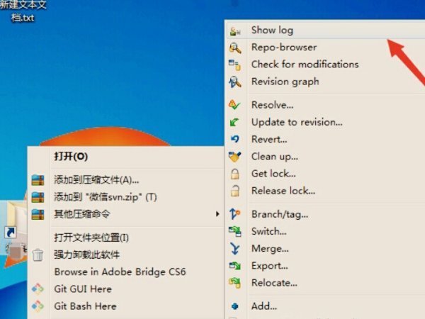 SVN配置文件具体位置在哪里可以查找? 第3张 SVN配置文件具体位置在哪里可以查找? 第3张