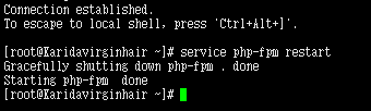 PHP如何重启服务器,PHP执行重启服务器命令是什么 第3张 PHP如何重启服务器,PHP执行重启服务器命令是什么 第3张