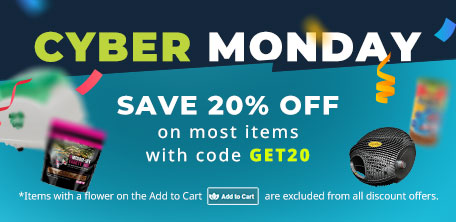 注意：2015年，最后一天，最后的干货，【CyberMonday】